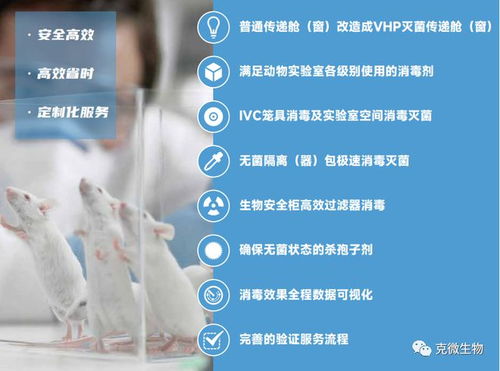 无菌动物实验室屏障环境整体消毒灭菌综合服务方案