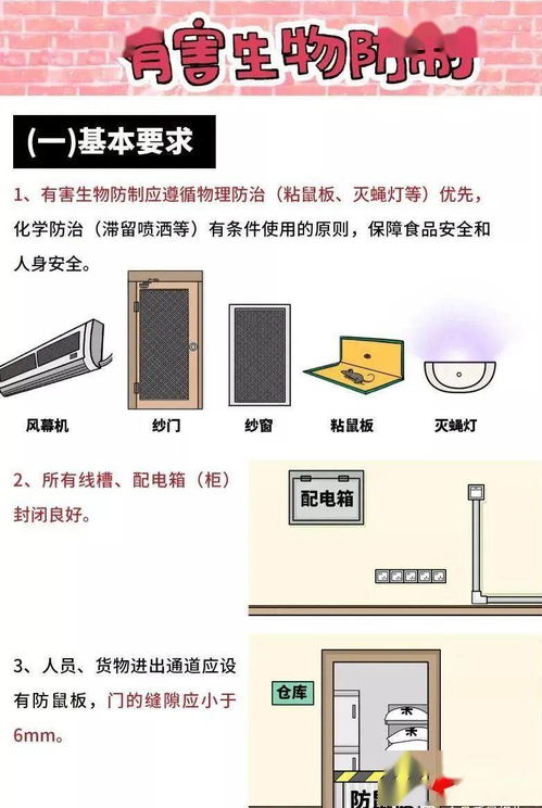 食品安全管理核心要点 从清洗消毒到有害生物防控